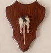 Click image for larger version

Name:	Rats ass 80 80.jpg
Views:	3
Size:	4.6 KB
ID:	596450
