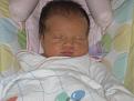 Click image for larger version

Name:	Chloe 001.jpg
Views:	163
Size:	84.1 KB
ID:	595474
