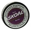 Click image for larger version

Name:	skoal-long-cut-berry.jpg
Views:	180
Size:	45.9 KB
ID:	596442