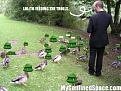Click image for larger version

Name:	feeding-the-trolls-500x375.jpg
Views:	160
Size:	44.1 KB
ID:	597080
